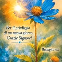 Badante 7/7