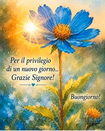 Badante 7/7