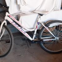 bicicletta mtb da donna 22