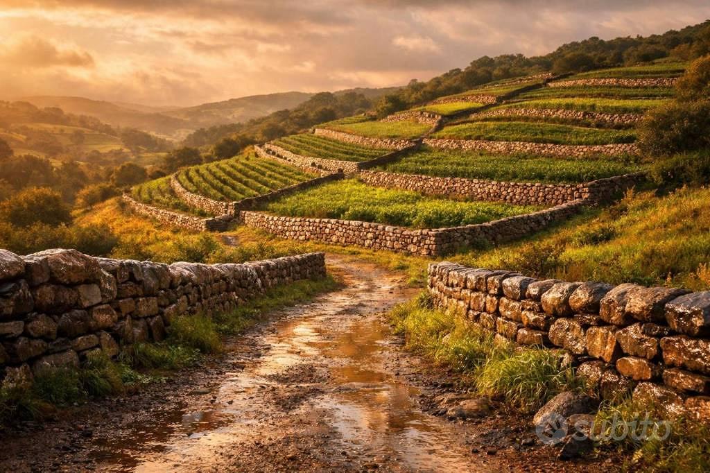 Immobile in asta di 6280 m² a Mottola - Vista 2