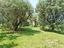 Immagine 29