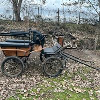 Carrozza wagonette 