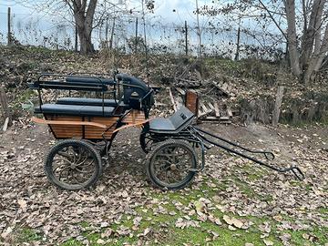 Carrozza wagonette 