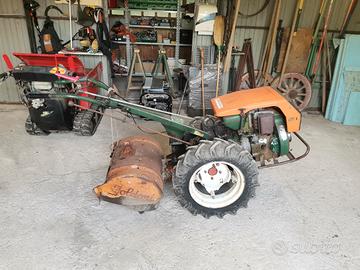 Goldoni128 B 800 euro