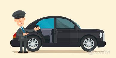 autista taxista accompagnatore