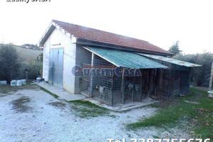 Terreno con ulivi e annesso a Morro D'Alba