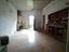 Immagine 7