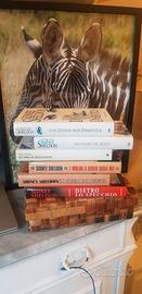 Libri Sidney Sheldon (kit 6 pezzi)