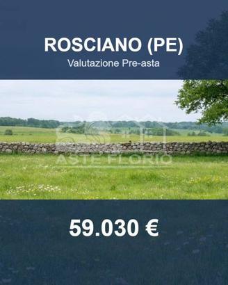 Immobile in asta di 25250 m² a Rosciano