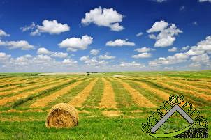 TERRENO AGRICOLO - Vista 2