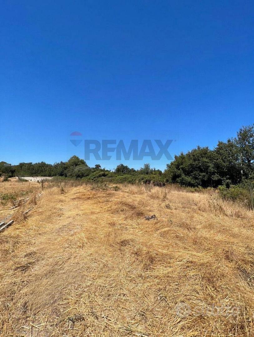 Terreno - Castiglione di Sicilia - Vista 4