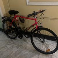 Bici sportiva