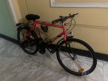Bici sportiva