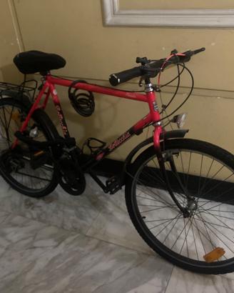 Bici sportiva