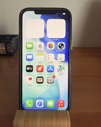 iPhone 12 Pro Max 256 gb