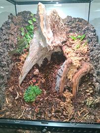 terrario exoterra 45x45x60 