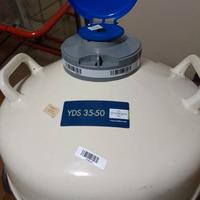 CONTENITORE CRIOGENICO 35 LITRI (400€TRATTABILI)