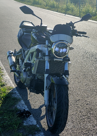 Suzuki SV1000-N