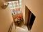 Immagine 15
