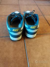 Nike Dunk limited Edition 
