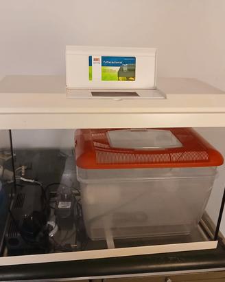 Acquario 70 l