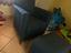 Immagine 2