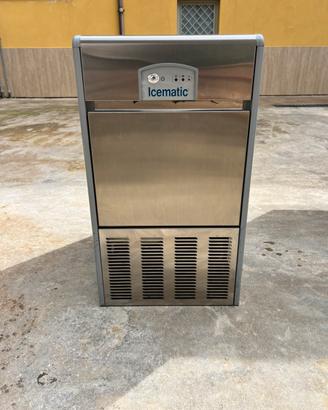 Produttore di ghiaccio icematic a palette