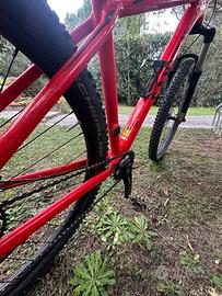 Mtb canyon 29 taglia m
