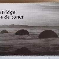 Toner HP MLT-D111S Originale