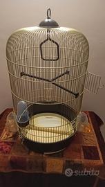  gabbia uccellini voliera