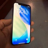 Apple Iphone 12 Pro eccellente