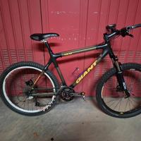 Mountain bike giant carbonio
