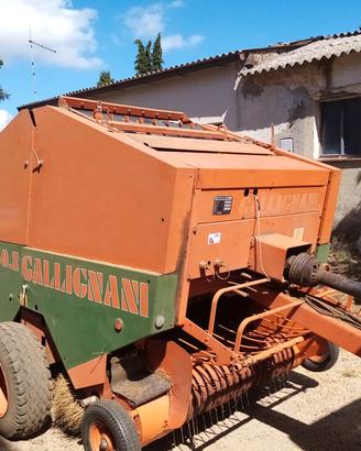 rotopressa gallignani 