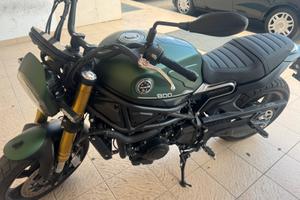 Leoncino benelli 800