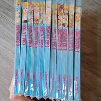 manga La Madonna della ghirlanda