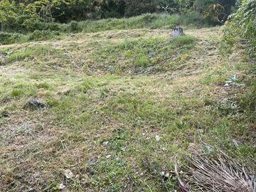 Terreno adiacente strada