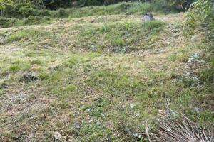 Terreno adiacente strada