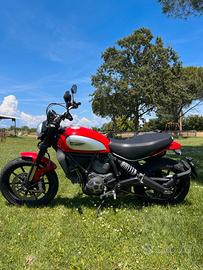 Ducati Scrambler Icon 800 accessoriata