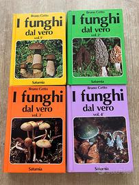 📚 I funghi dal vero – Bruno Cetto (vol. 1–4)