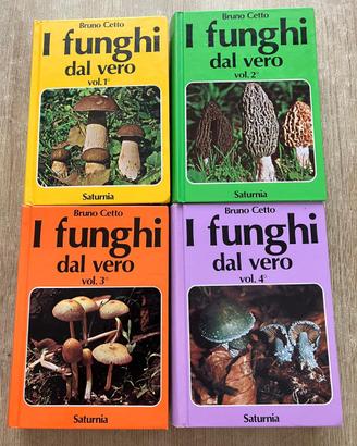 📚 I funghi dal vero – Bruno Cetto (vol. 1–4)