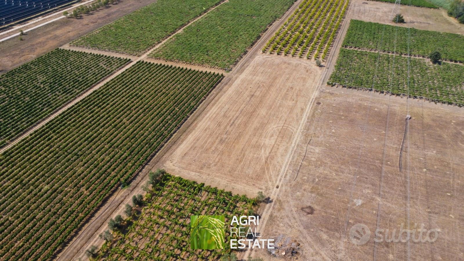 Terreno agricolo 4 ettari fronte strada con pozzo - Altro
