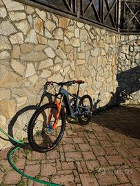 Santa Cruz Heckler C Mullet