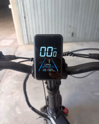 bicicletta elettrica 