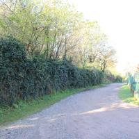 TERRENO AGRICOLO/BOSCHIVO