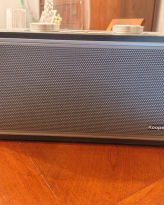 Kooper Rock Speaker Radio Legno 80W 