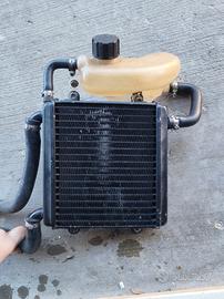radiatore Aerox completo