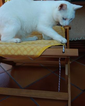 Amaca relax/cuccia/confort animali gatti