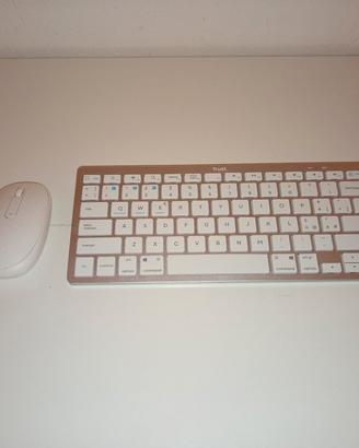 tastiera e mouse  wireless 