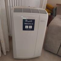 condizionatore pinguino Delonghi