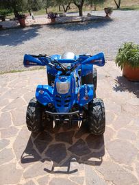 quad 125 